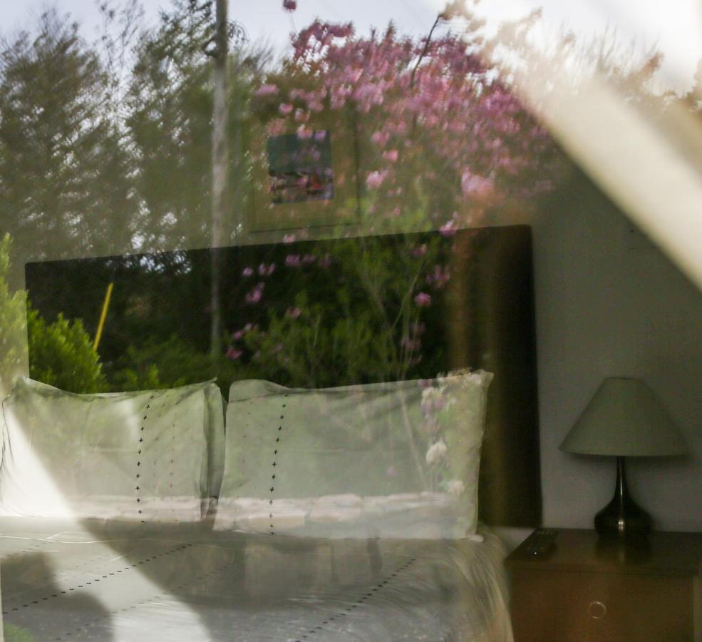 كليفدين Ben Breen House B&B المظهر الخارجي الصورة